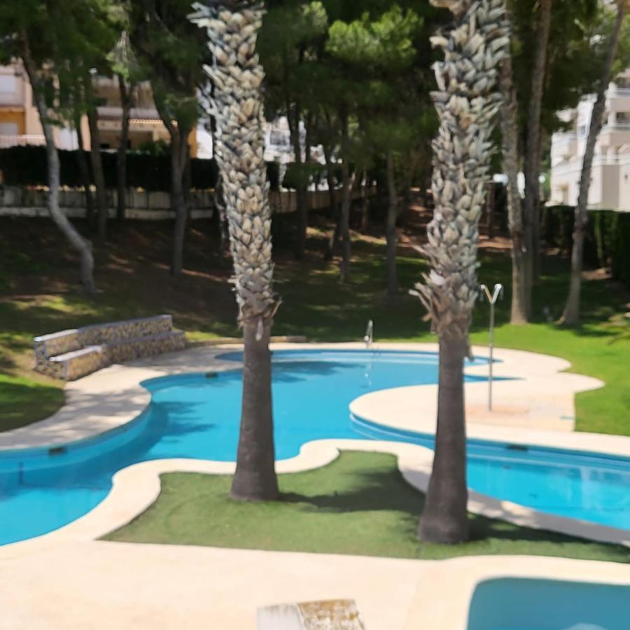 Apartamento Ines, Dehesa De Campoamor,900M From The Sea , Swimming Pool & Tennis Court Exterior foto